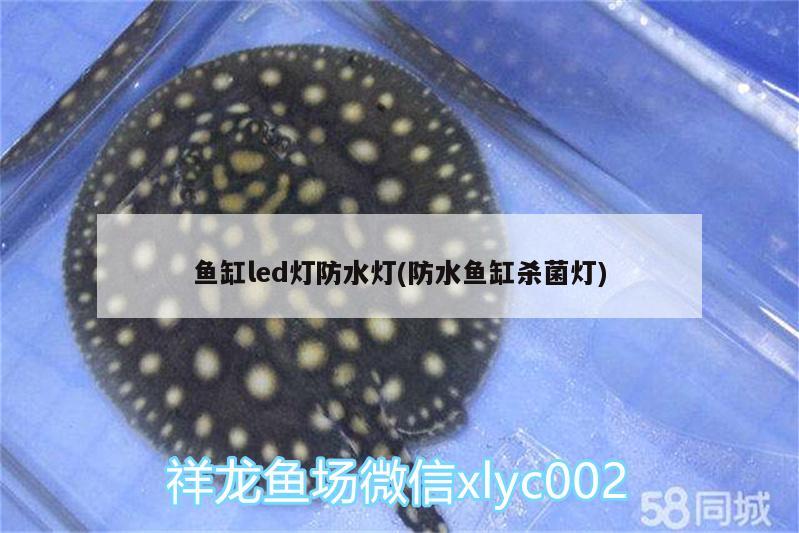 魚缸led燈防水燈(防水魚缸殺菌燈) 其它水族用具設(shè)備