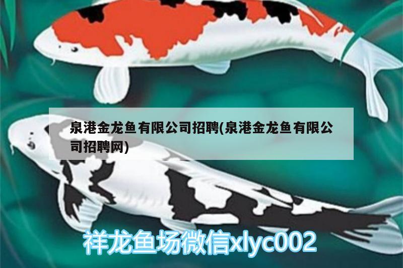 泉港金龍魚有限公司招聘(泉港金龍魚有限公司招聘網(wǎng)) 鸚鵡魚