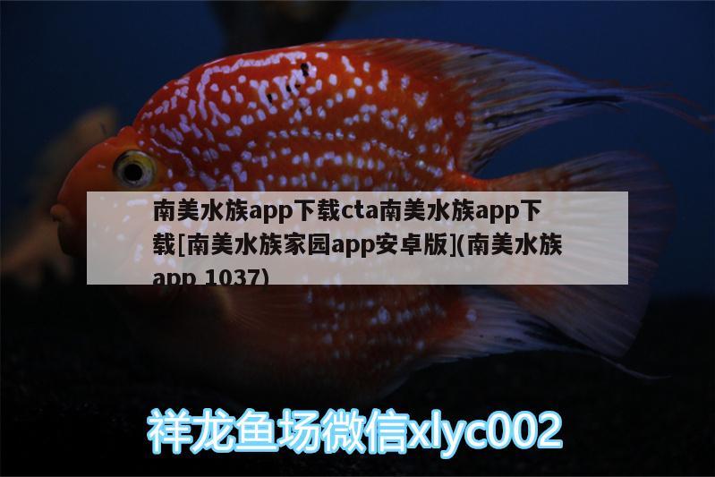 南美水族app下載cta南美水族app下載[南美水族家園app安卓版](南美水族app1037)