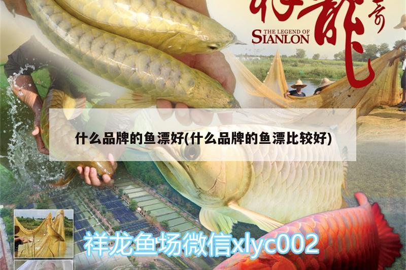 什么品牌的魚漂好(什么品牌的魚漂比較好) 印尼小紅龍