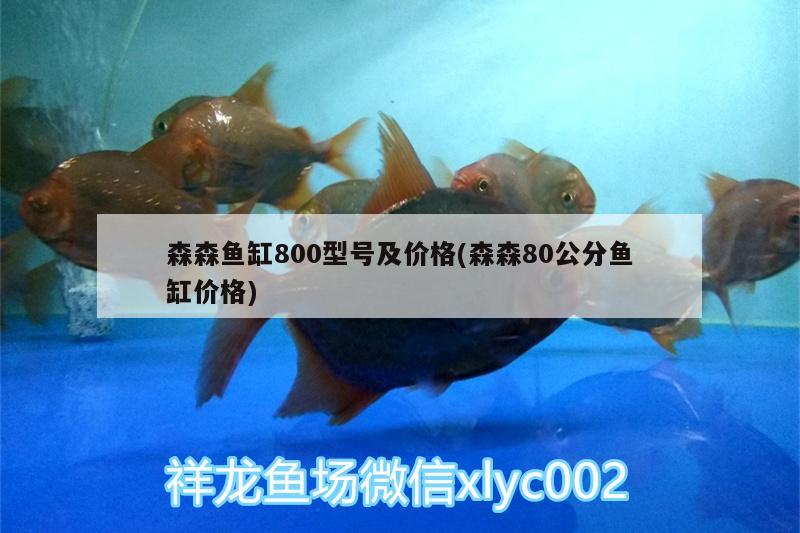 森森魚缸800型號及價格(森森80公分魚缸價格) 龍魚批發(fā)