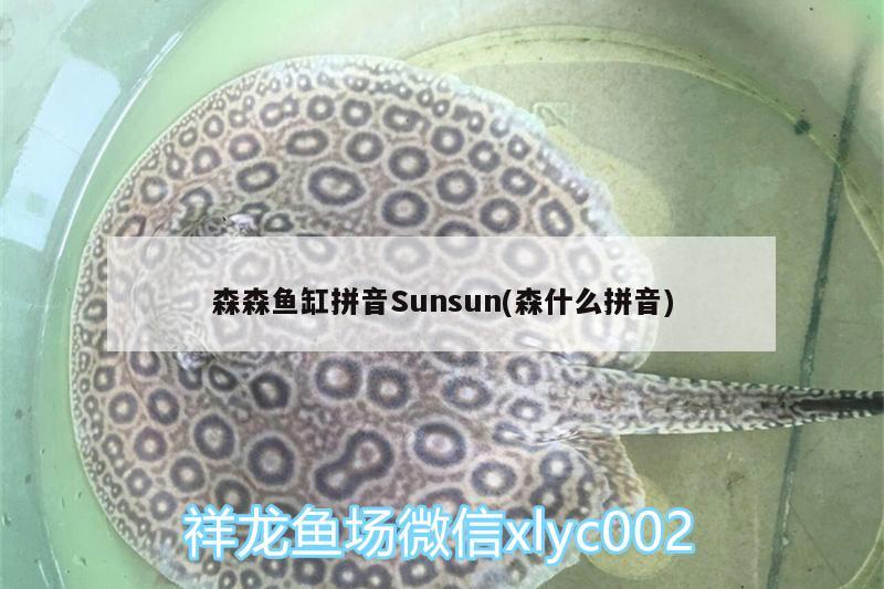 森森魚缸拼音Sunsun(森什么拼音) 黑桃A魚