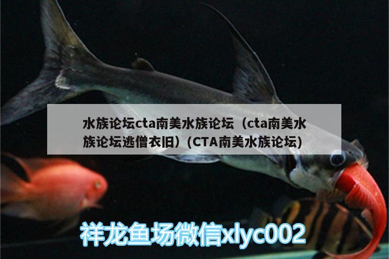 水族論壇cta南美水族論壇（cta南美水族論壇逃僧衣舊）(CTA南美水族論壇)