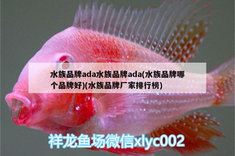 水族品牌ada水族品牌ada(水族品牌哪個(gè)品牌好)(水族品牌廠家排行榜) 水族品牌