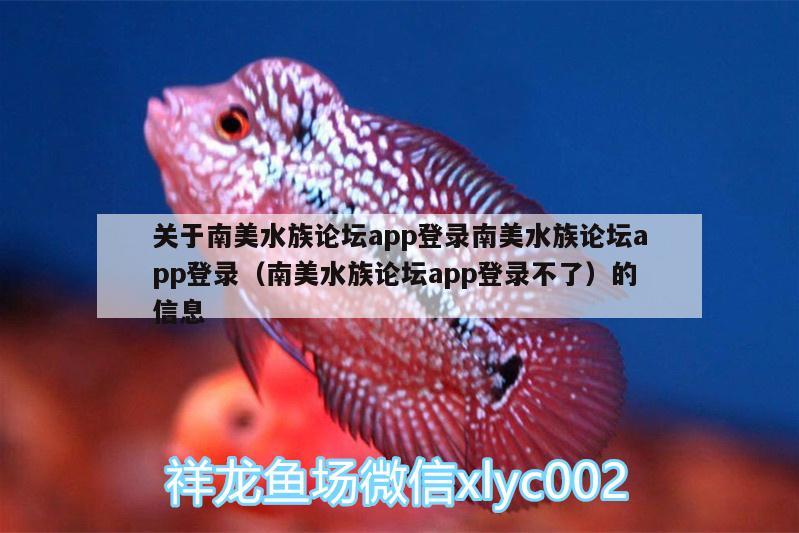 關(guān)于南美水族論壇app登錄南美水族論壇app登錄（南美水族論壇app登錄不了）的信息 蝴蝶鯉