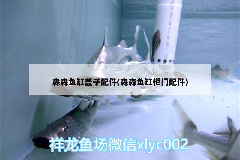 森森魚缸蓋子配件(森森魚缸柜門配件) 龍魚專用燈