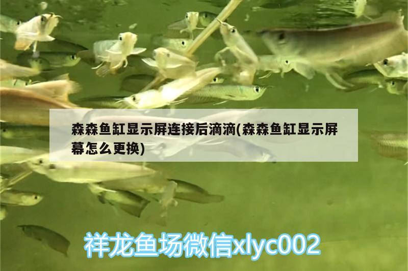 森森魚缸顯示屏連接后滴滴(森森魚缸顯示屏幕怎么更換)