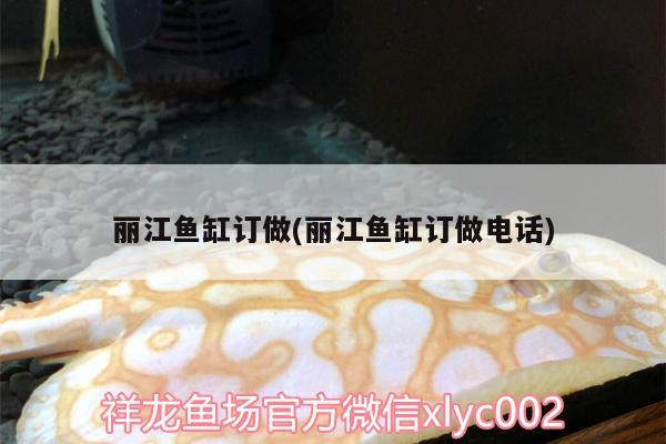 麗江魚缸訂做(麗江魚缸訂做電話)