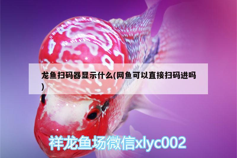 龍魚掃碼器顯示什么(網(wǎng)魚可以直接掃碼進(jìn)嗎)