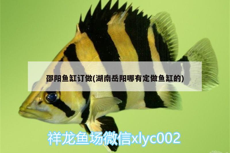 邵陽魚缸訂做(湖南岳陽哪有定做魚缸的)