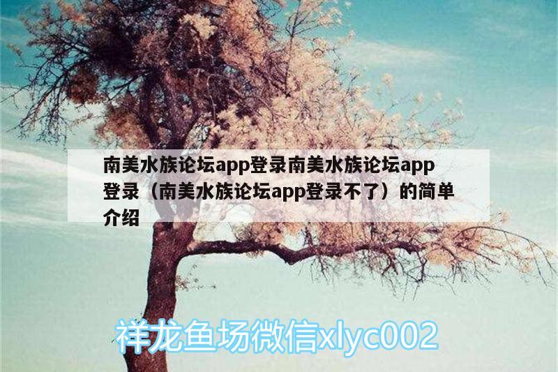 南美水族論壇app登錄南美水族論壇app登錄（南美水族論壇app登錄不了）的簡(jiǎn)單介紹 斑馬狗頭魚