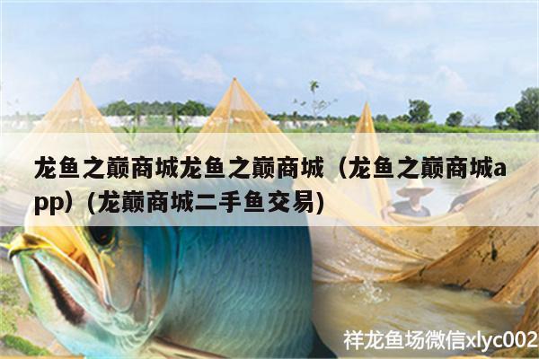 龍魚之巔商城龍魚之巔商城（龍魚之巔商城app）(龍巔商城二手魚交易)