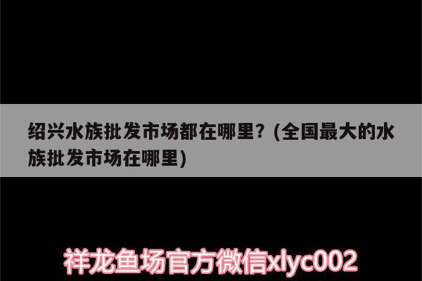 紹興水族批發(fā)市場(chǎng)都在哪里？(全國(guó)最大的水族批發(fā)市場(chǎng)在哪里) 觀賞魚水族批發(fā)市場(chǎng)