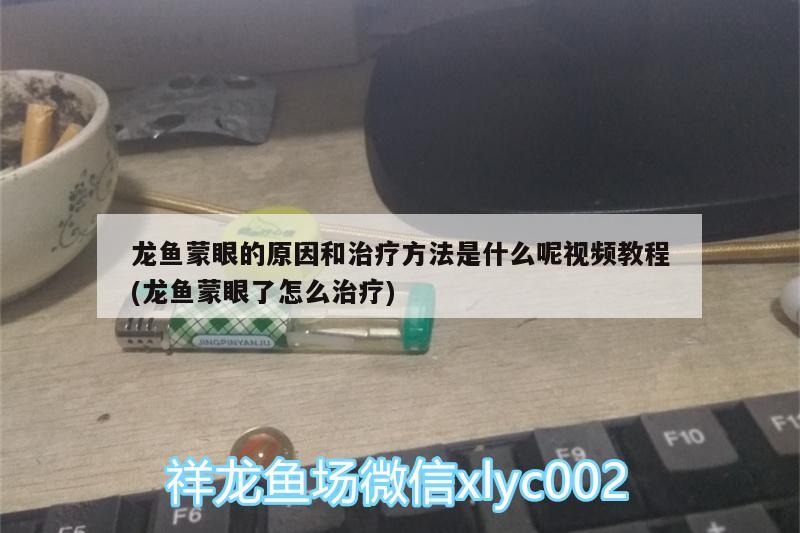 龍魚蒙眼的原因和治療方法是什么呢視頻教程(龍魚蒙眼了怎么治療) 圣菲埃及魚