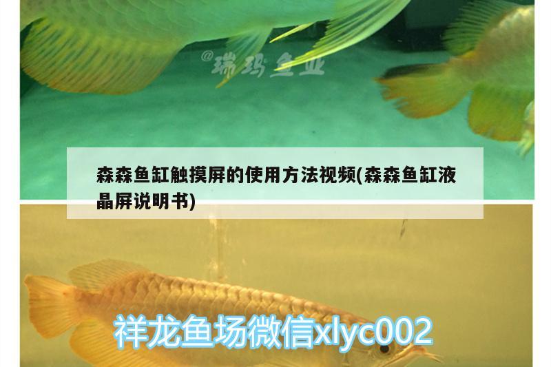 森森魚缸觸摸屏的使用方法視頻(森森魚缸液晶屏說明書)