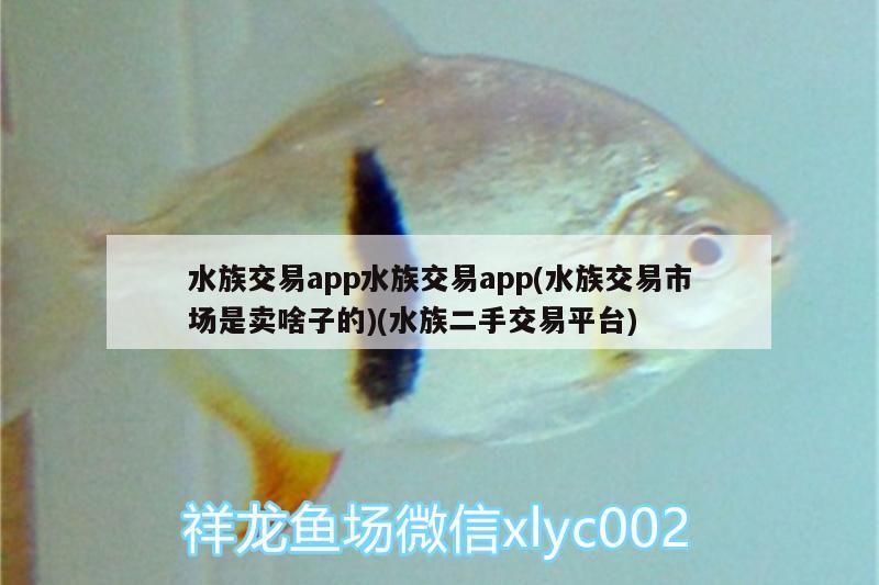 水族交易app水族交易app(水族交易市場是賣啥子的)(水族二手交易平臺)