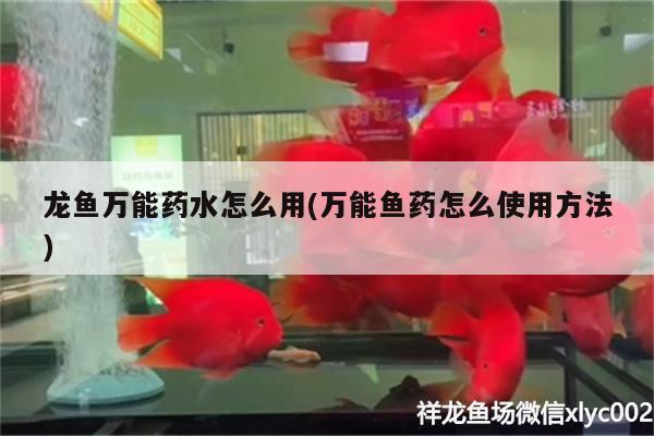 龍魚萬能藥水怎么用(萬能魚藥怎么使用方法) 藍底過背金龍魚