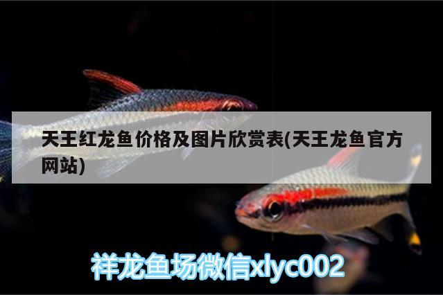 天王紅龍魚(yú)價(jià)格及圖片欣賞表(天王龍魚(yú)官方網(wǎng)站)