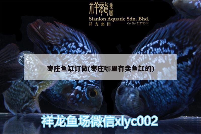 棗莊魚缸訂做(棗莊哪里有賣魚缸的) 魚缸等水族設(shè)備