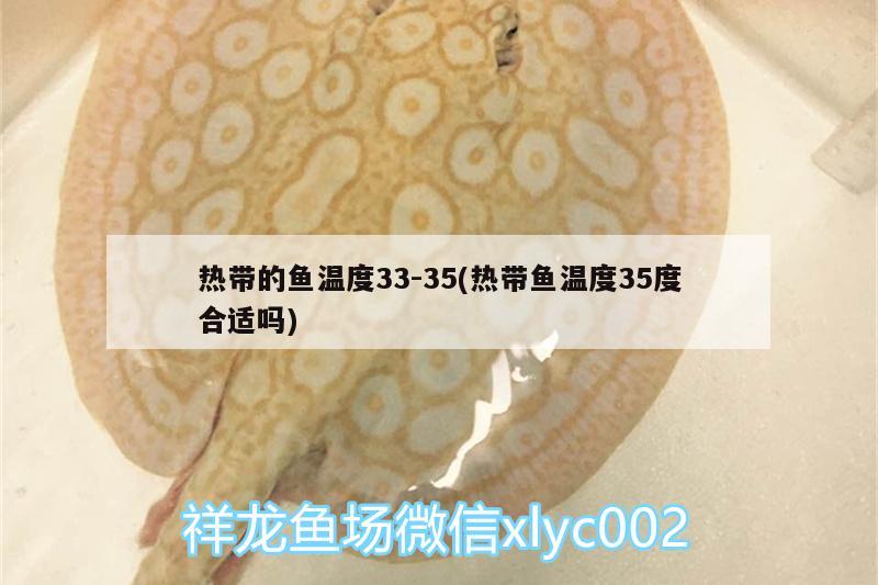 熱帶的魚溫度33-35(熱帶魚溫度35度合適嗎)