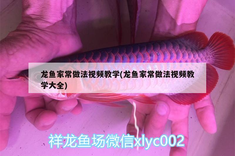 龍魚家常做法視頻教學(xué)(龍魚家常做法視頻教學(xué)大全)