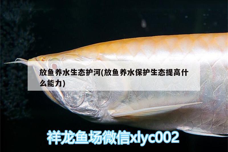 放魚養(yǎng)水生態(tài)護(hù)河(放魚養(yǎng)水保護(hù)生態(tài)提高什么能力) 埃及神仙魚