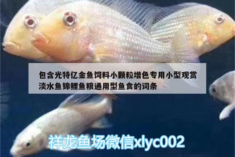 包含光特億金魚飼料小顆粒增色專用小型觀賞淡水魚錦鯉魚糧通用型魚食的詞條