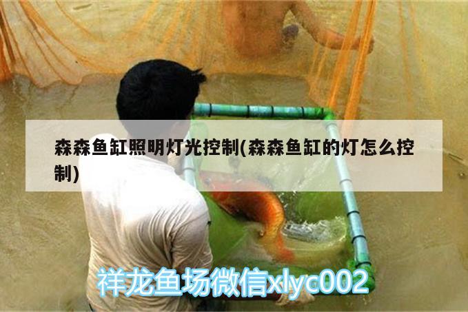 森森魚缸照明燈光控制(森森魚缸的燈怎么控制) 孵化器 第2張