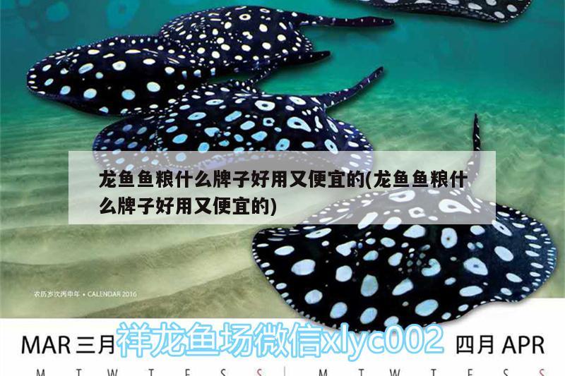 龍魚魚糧什么牌子好用又便宜的(龍魚魚糧什么牌子好用又便宜的) 噴點菠蘿魚