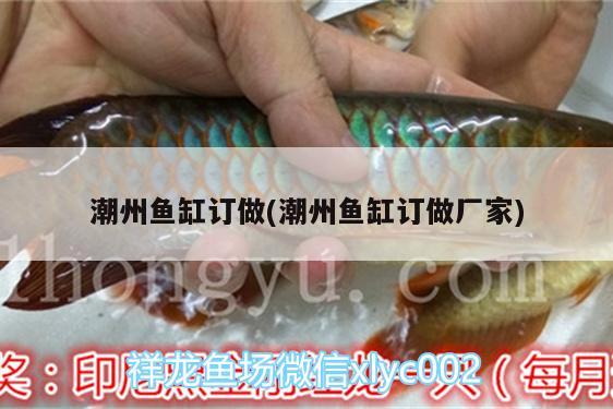 潮州魚缸訂做(潮州魚缸訂做廠家) 祥龍金禾金龍魚