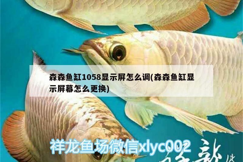 森森魚缸1058顯示屏怎么調(diào)(森森魚缸顯示屏幕怎么更換) 月光鴨嘴魚 第2張