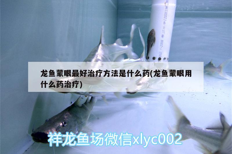 龍魚蒙眼最好治療方法是什么藥(龍魚蒙眼用什么藥治療) 龍魚百科