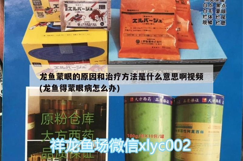 龍魚蒙眼的原因和治療方法是什么意思啊視頻(龍魚得蒙眼病怎么辦)