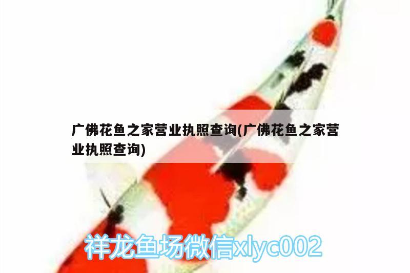 廣佛花魚之家營業(yè)執(zhí)照查詢(廣佛花魚之家營業(yè)執(zhí)照查詢) 粗線銀版魚