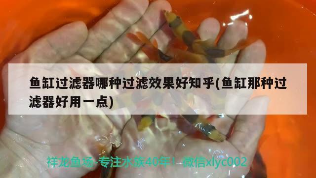 魚缸過濾器哪種過濾效果好知乎(魚缸那種過濾器好用一點) 帝王迷宮魚