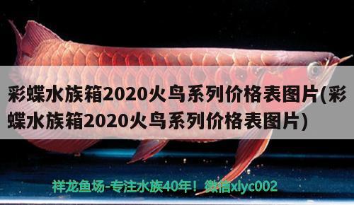 彩蝶水族箱2020火鳥系列價(jià)格表圖片(彩蝶水族箱2020火鳥系列價(jià)格表圖片) 魚缸/水族箱