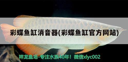 彩蝶魚缸消音器(彩蝶魚缸官方網(wǎng)站)