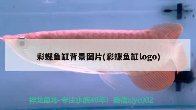 彩蝶魚缸背景圖片(彩蝶魚缸logo)