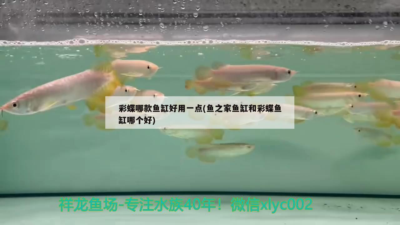 彩蝶哪款魚缸好用一點(魚之家魚缸和彩蝶魚缸哪個好) 充氧泵