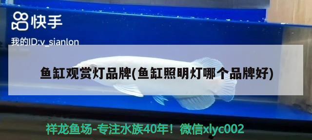 魚缸觀賞燈品牌(魚缸照明燈哪個品牌好) 觀賞魚