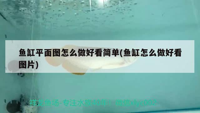 魚缸平面圖怎么做好看簡單(魚缸怎么做好看圖片) 青龍魚