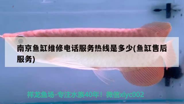 南京魚缸維修電話服務熱線是多少(魚缸售后服務)