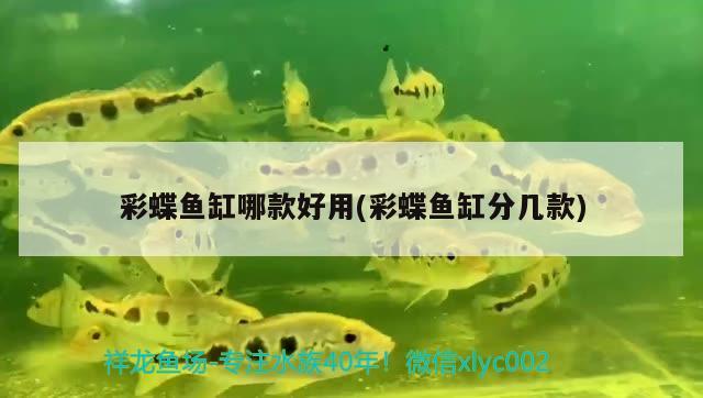 彩蝶魚缸哪款好用(彩蝶魚缸分幾款)