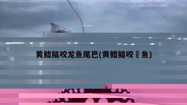 底濾魚缸溢流怎么做(底濾魚缸溢水)