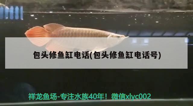 包頭修魚缸電話(包頭修魚缸電話號)