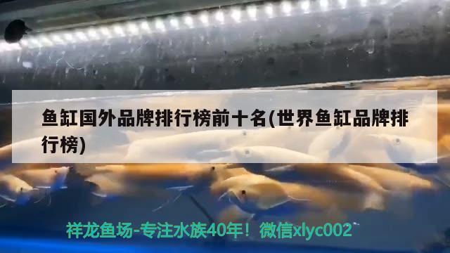 魚缸國外品牌排行榜前十名(世界魚缸品牌排行榜) 廣州水族器材濾材批發(fā)市場