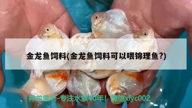 金龍魚飼料(金龍魚飼料可以喂錦理魚?)