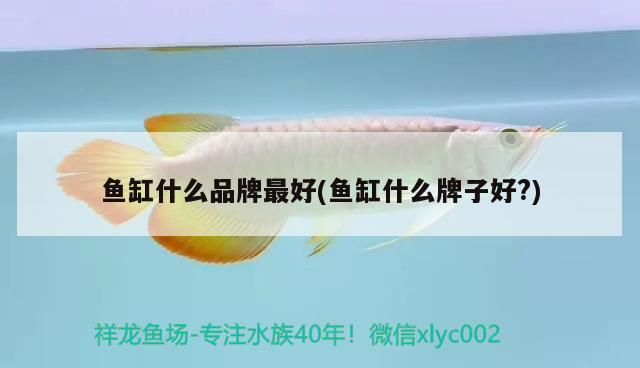 魚(yú)缸什么品牌最好(魚(yú)缸什么牌子好?) 觀賞魚(yú)