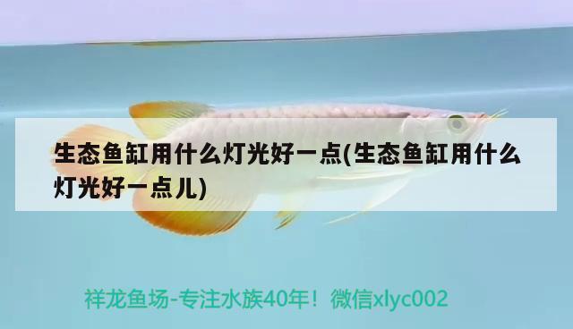 生態(tài)魚缸用什么燈光好一點(生態(tài)魚缸用什么燈光好一點兒)