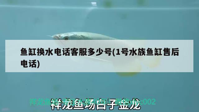 魚缸換水電話客服多少號(1號水族魚缸售后電話) 朱巴利魚